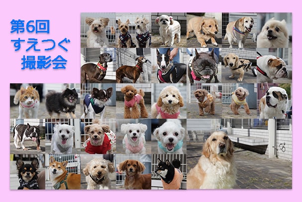 第6回撮影会ムービーをSNSにて公開中!