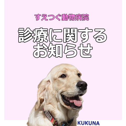 2025年GW期間中の診療について★お薬の注文・フードの注文はお早めにご連絡お願いします