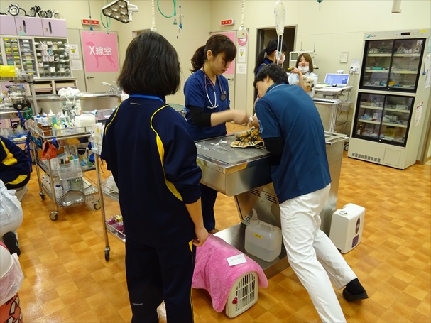 北部中学校さんの職場体験学習