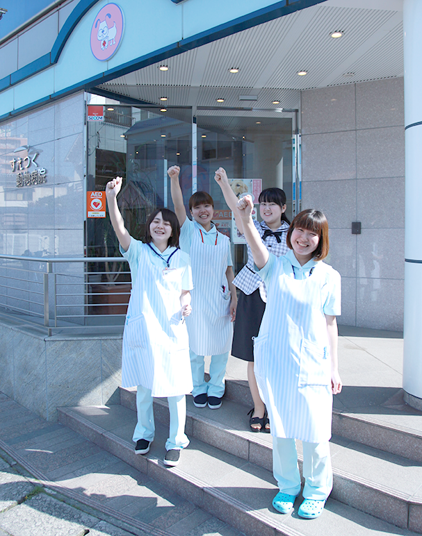 新スタッフ(動物看護師3名、受付1名)のご紹介