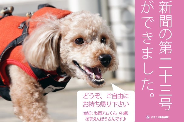 すえつぐ動物病院新聞の2023年春号(第23号)を発行しました