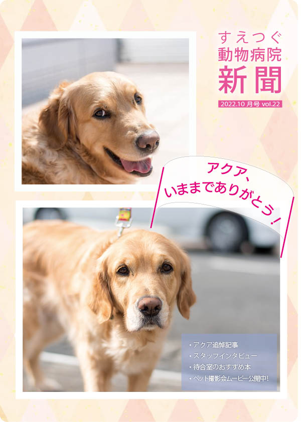 すえつぐ動物病院新聞の2022年10月号(第22号)ができました