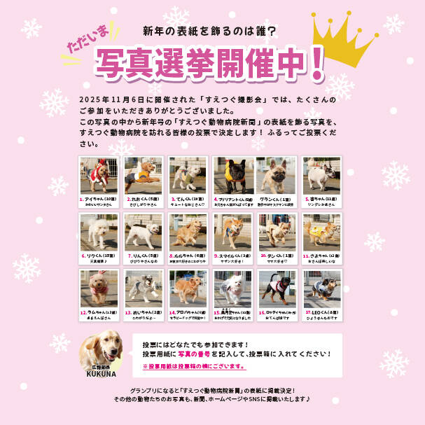 第10回撮影会、写真選挙の投票がスタートしました！